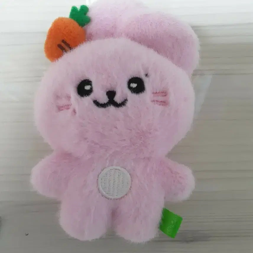 [BUNJANG] fromis_9 Park Jiwon Programming Doll / 프로미스나인 박지원 프로밍 인형 팔아여 송하영박지원이채영이나경백지헌일본