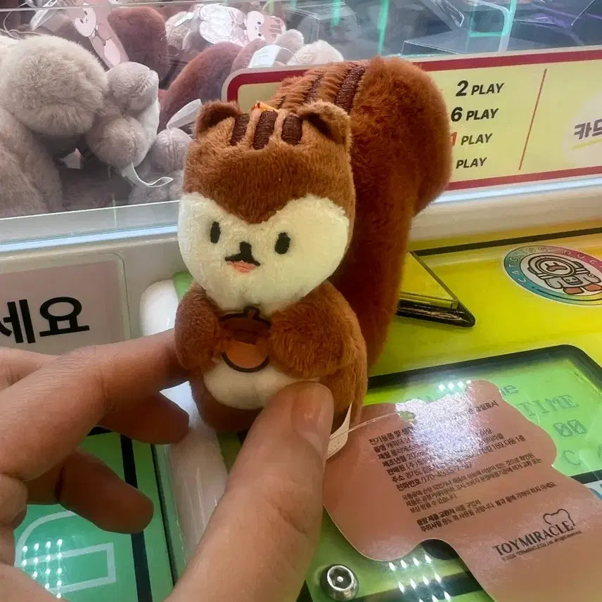 [BUNJANG] BTS J-Hope Squirrel Keyring Corimory / 진한색 제이홉 다람쥐 키링 코리모리 방탄 방탄소년단
