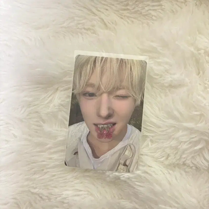 [BUNJANG] VIXX Leo Mini Photocard / 빅스미니 사쿠야 양도합니다 사쿠야 포카 양도