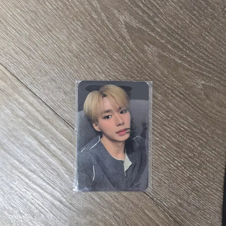 [BUNJANG] Alphadrive1 RD1 Haidilao Junseo Photocard / 알파드라이브원 알디원 하이디라오 포토카드 준서