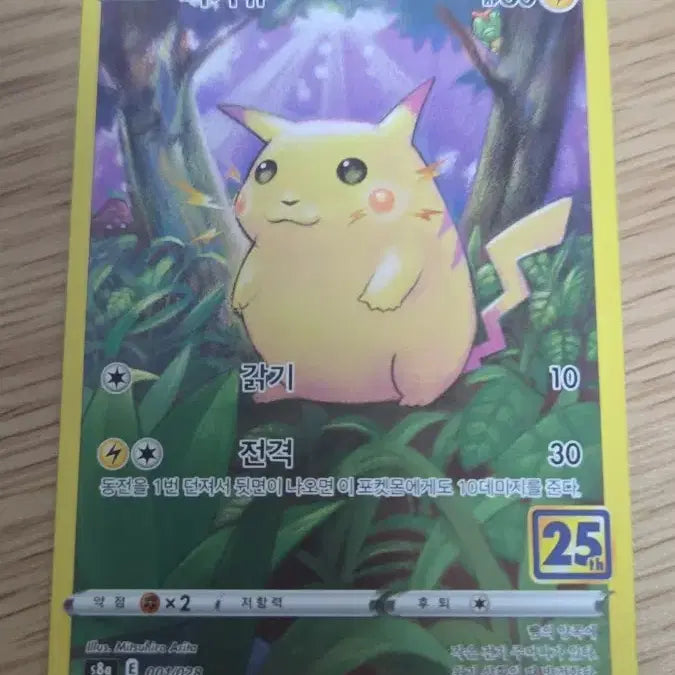 [BUNJANG] Pikachu 25th Anniversary "Fat Pikachu" Plush / 피카츄 25주년 뚱카츄(다른상품 같이 구매시 -2000원)