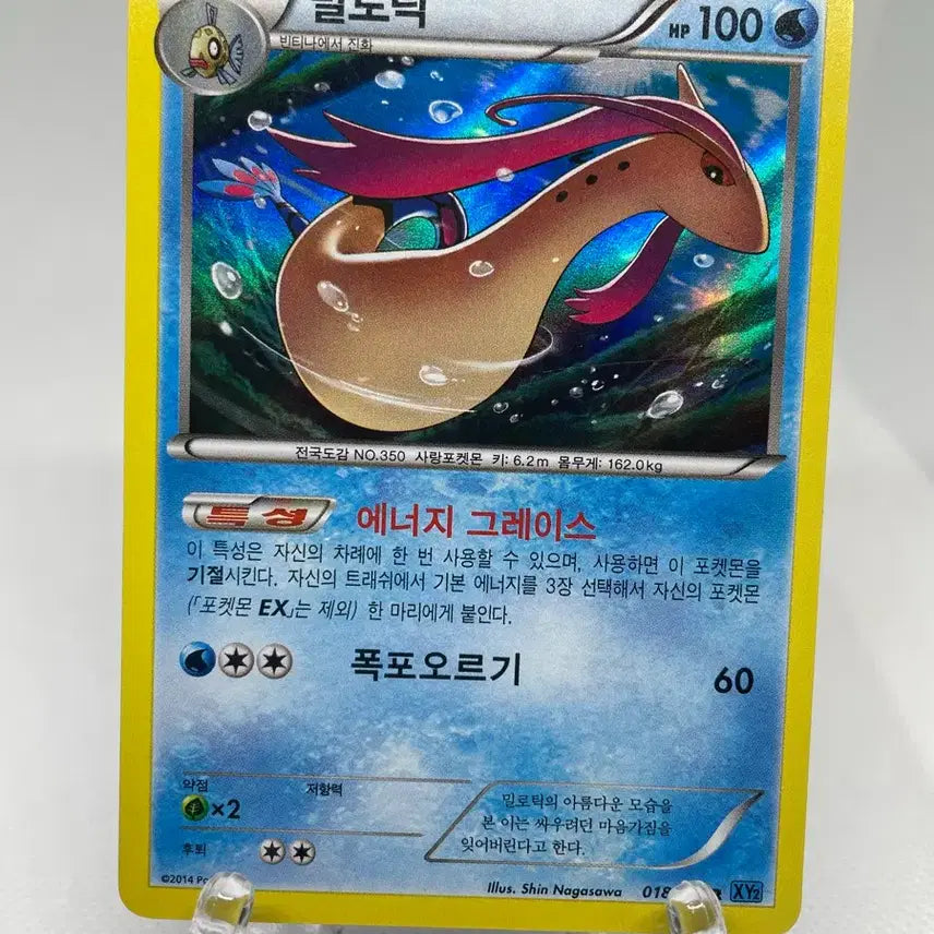 [BUNJANG] 2014 Milotic Holo Classic Pokemon Card / 2014년 밀로틱 홀로카드 고전카드 포켓몬카드