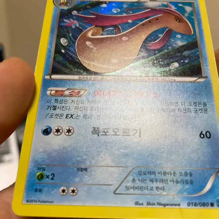 [BUNJANG] 2014 Milotic Holo Classic Pokemon Card / 2014년 밀로틱 홀로카드 고전카드 포켓몬카드