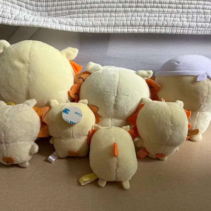 [BUNJANG] Chiikawa Shisa Merchandise Bundle Set / 치이카와 시사 굿즈 일괄판매(급처)