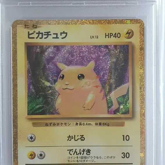 [BUNJANG] Pokemon Classic Pikachu PSA 10 Japanese Version / 일판 포켓몬 클래식 피카츄 psa10