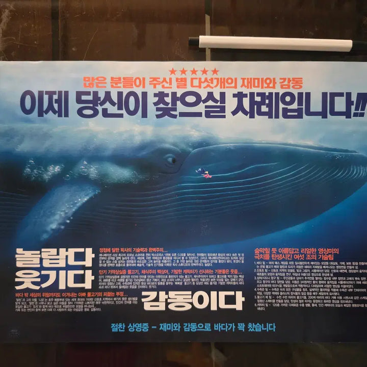 [BUNJANG] Finding Nemo Movie Leaflet &amp; Lobby Still Set / 니모를 찾아서 / 영화전단지 / /영화자료/고전희귀