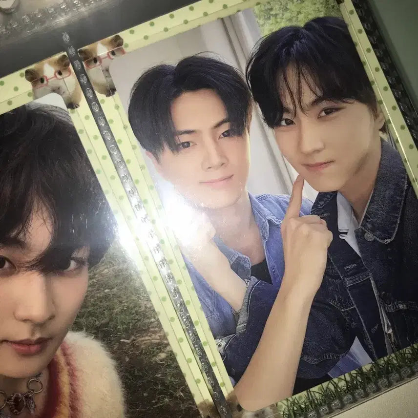 [BUNJANG] ENHYPEN Jay &amp; Jungwon Unit Photocard / 엔하이픈 유닛포카 제이&amp;정원