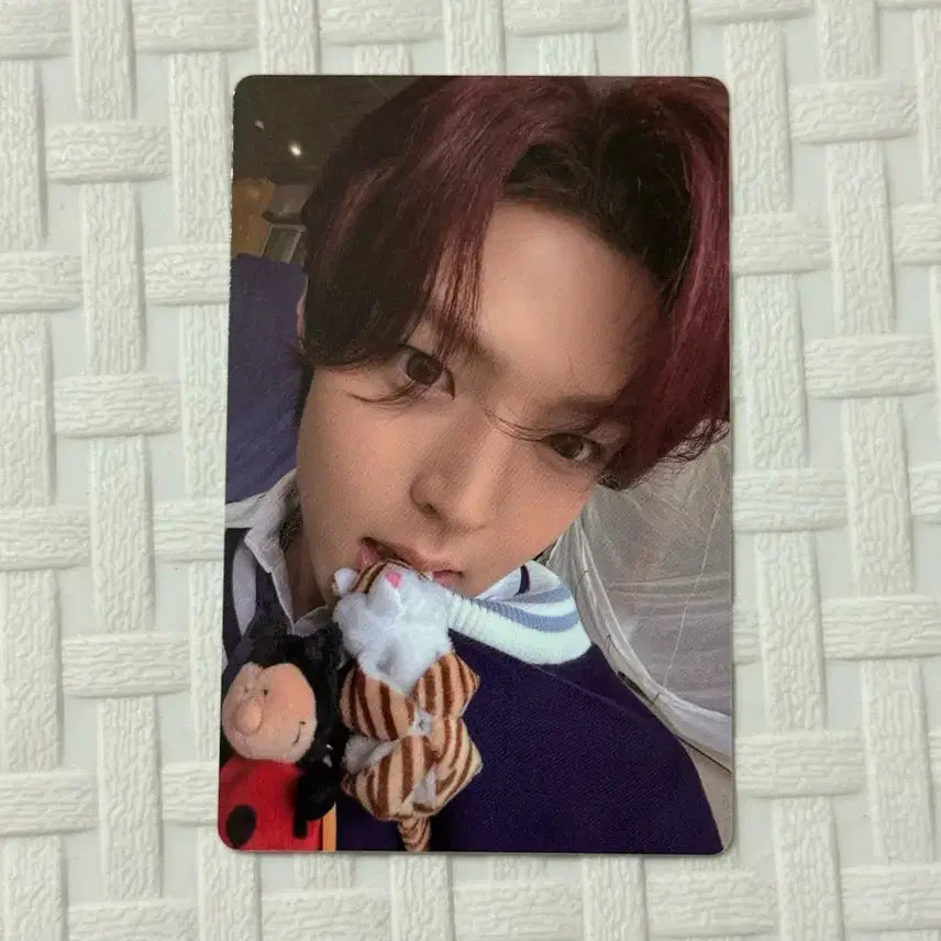 [BUNJANG] SMTOWN SMTR25 RESPONSE HIGHTSCHOOL Fan Meeting Photocard / SMTR25 캇쇼 응답하라하이스쿨 팬미팅 입장 포카 포토카드 슴티알 응하