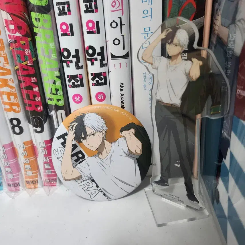 [BUNJANG] Sakura Haruka Windbreaker Goods / 윈드브레이커 윈브레 사쿠라 하루카 굿즈 판매
