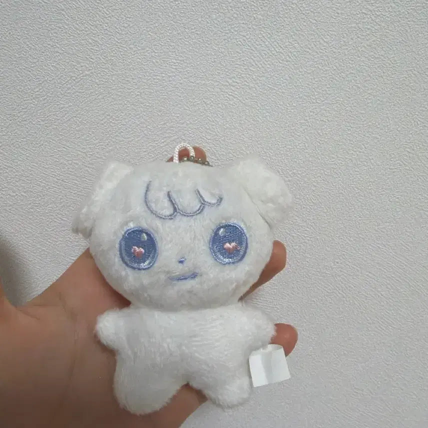 [BUNJANG] Jjumeongi Stuffed Toy / 특별한 쭈멍이