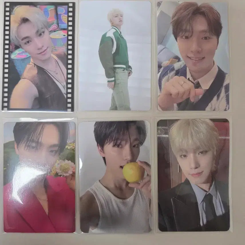 [BUNJANG] SEVENTEEN Dino Bundle Set Photocard / 세븐틴 디노 포카 포토카드 일괄 판매