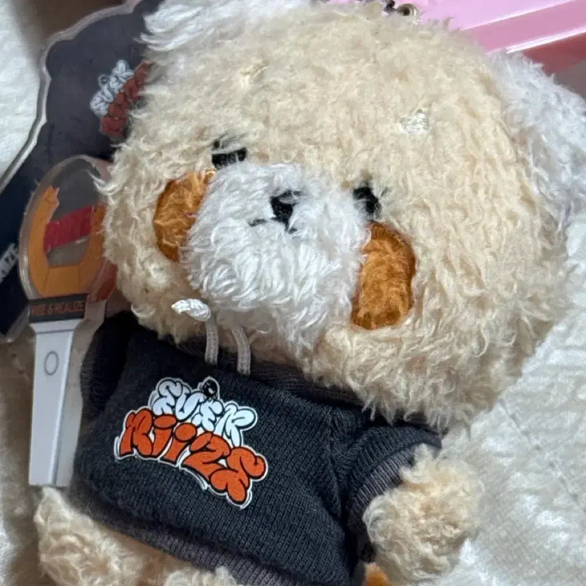[BUNJANG] RIIZE Anton Everlasting Friends Plush Doll / 라이즈 에버라이즈 인형 앤톤 버전