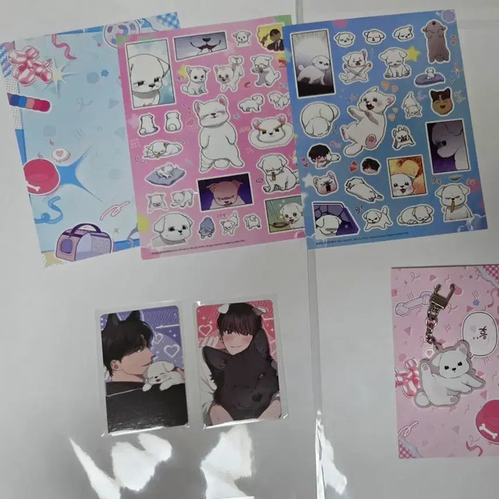 [BUNJANG] Gang Geonma Gangajineun Geondeurijima Ra Photocard Sticker Keychain Package / 강건마 강아지는건드리지마라 포카 스티커 키링 패키지
