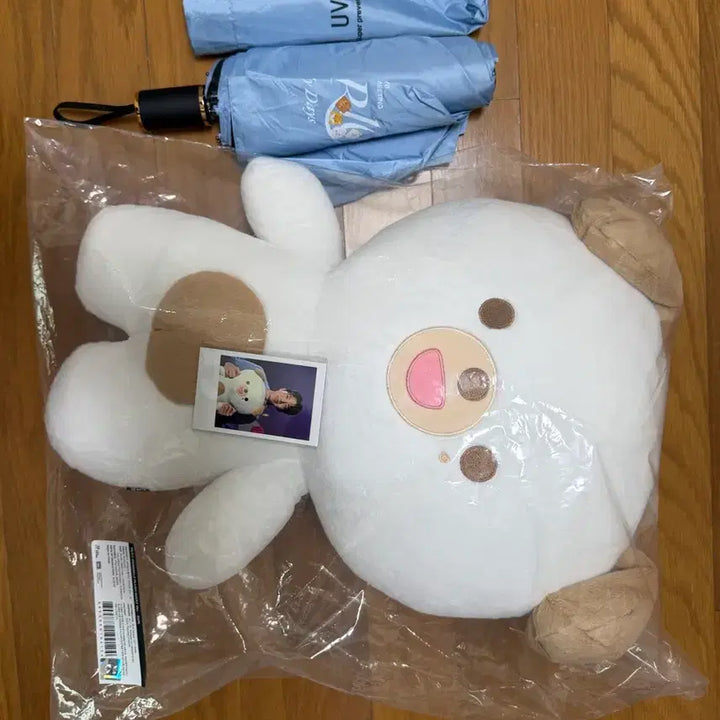 [BUNJANG] Day6 Giant Petit Merz - Don (Under Original Price) with Fierce Ten Umbrella / 데이식스 자이언트 쁘띠멀즈 - 돈 (원가이하) + 피어텐 우산 포함