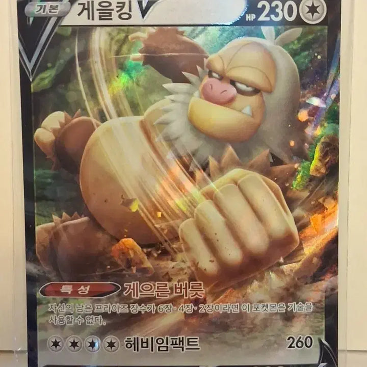 [SOLD OUT] 포켓몬 카드 게을킹 V 카드