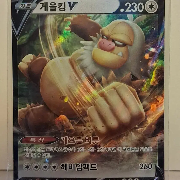 [SOLD OUT] 포켓몬 카드 게을킹 V 카드