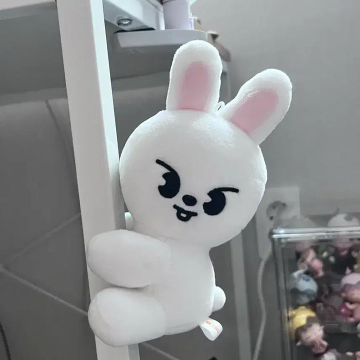 [BUNJANG] Ribbit Magnet Plush Skzoo Doll / 리빗 마그넷 플러시 스키주 인형