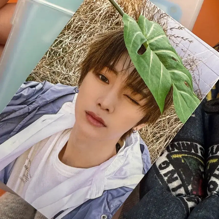 [BUNJANG] XODIAC ZUAN OMG Photocard / 알디원 조우안신 2주차 OMG 공방 사녹 포카 anxin