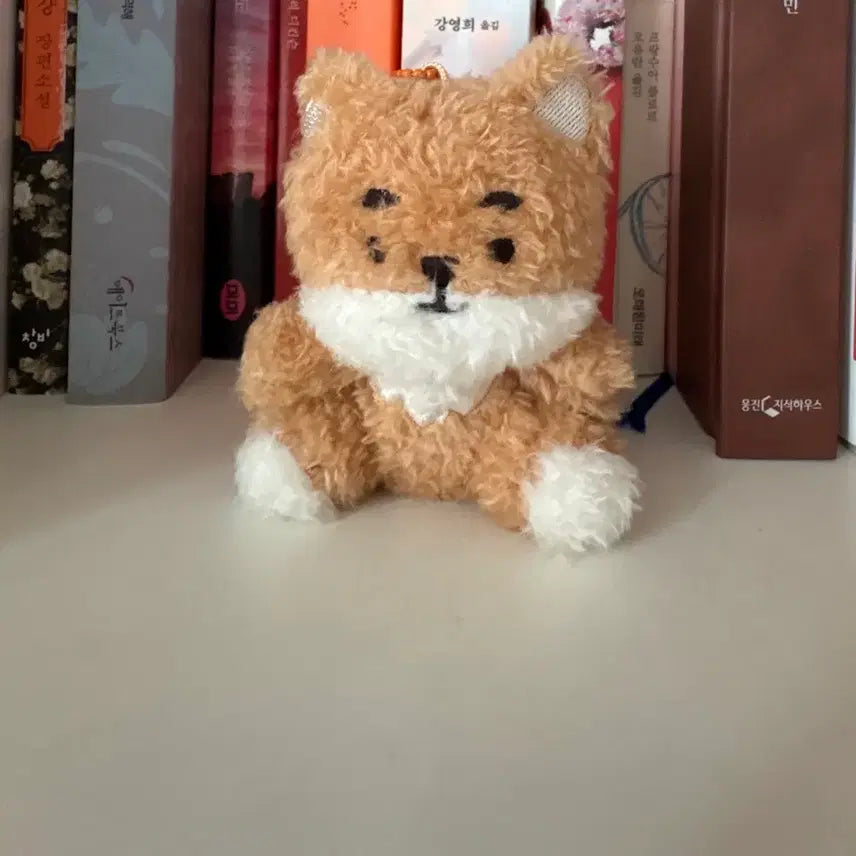 [BUNJANG] Day6 Dannyz Sitting Petit Keyring / [출시즉시 버전]데이식스 데니멀즈 앉은 쁘띠 케 앉은 케