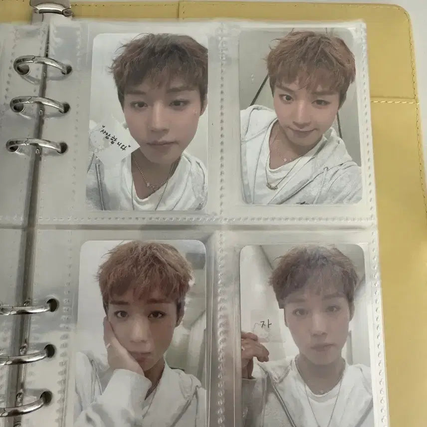 [BUNJANG] Park Ji Hoon Photocard Bundle Set / 박지훈 포토카드 판매 낱개 일괄 다 가능 (앨포a,b버전 다 있음)