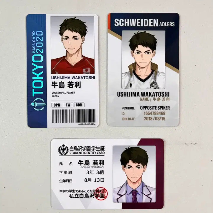 [BUNJANG] Haikyu!! Wakatoshi Ushijima Student ID Card Bundle Set / 하이큐 우시지마 와카토시 ㄹㅁㅁ 학생증 카드 일괄