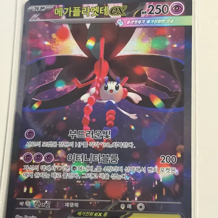 [BUNJANG] Pokemon Card Mega Pidgeot ex SAR 115/083 / 포켓몬스터 카드 메가플라엣테 ex SAR 115/083