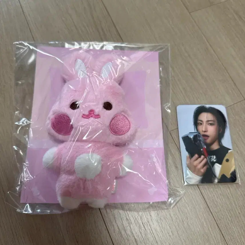 [BUNJANG] ATEEZ FLAT-FUR PLUSH Doll Seongbyeol / ANITEEZ FLAT-FUR PLUSH 애니티즈 플랫퍼인형 떵별이