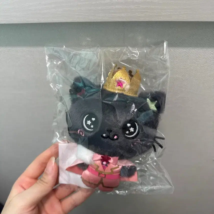 [BUNJANG] Prince Wishdoll Kuri Sealed / 프린스 위시돌 쿠리 미개봉