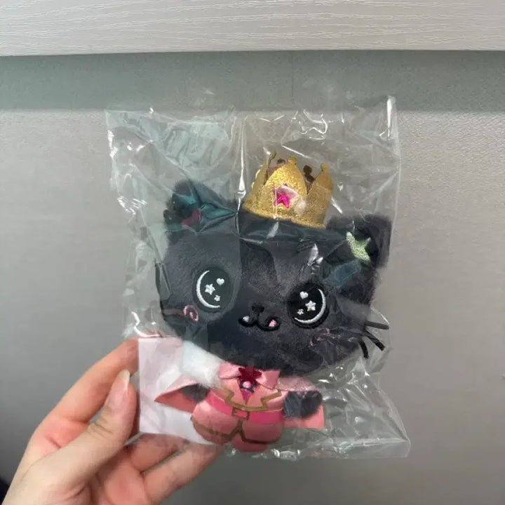 [BUNJANG] Prince Wishdoll Kuri Sealed / 프린스 위시돌 쿠리 미개봉