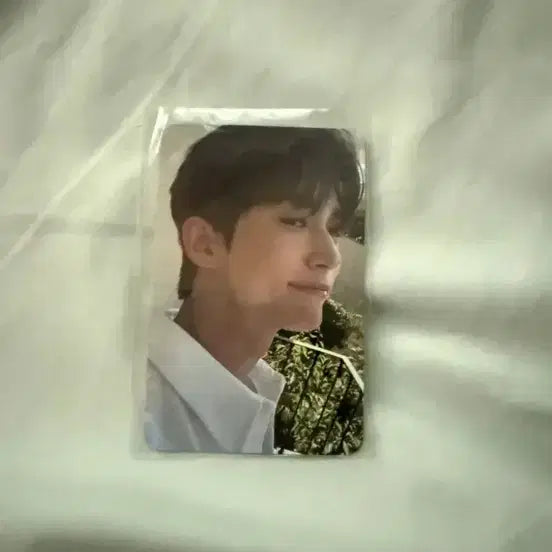 [BUNJANG] Byeon Woo Seok &