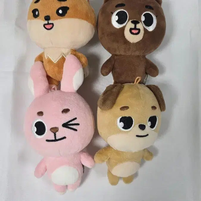 [BUNJANG] Day6 2019 Denimals MD / 데니멀즈 19년도 생산 양도 데이식스