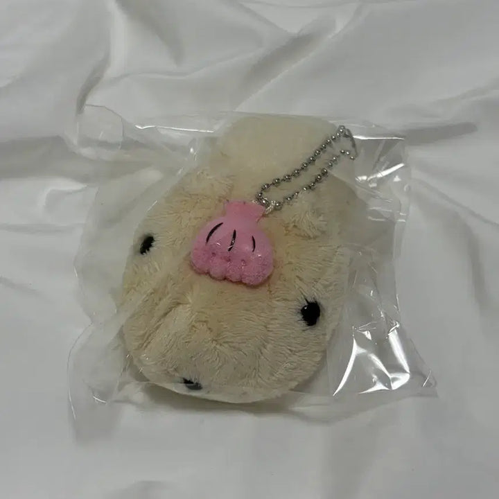 [BUNJANG] Capybara with Shell / 오늘만할인)카피바라상 조개