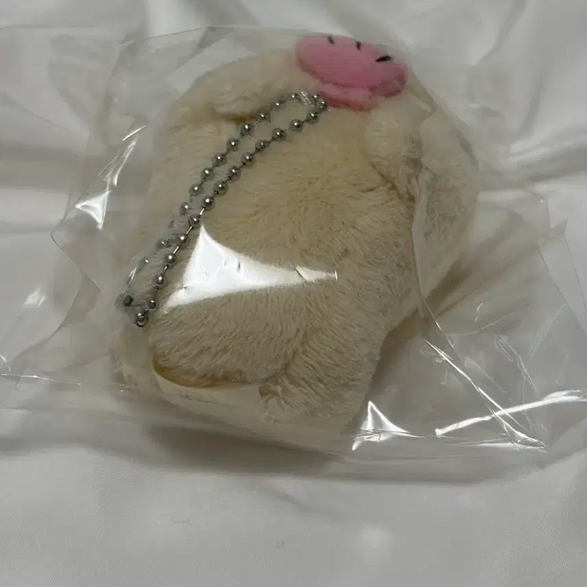 [BUNJANG] Capybara with Shell / 오늘만할인)카피바라상 조개