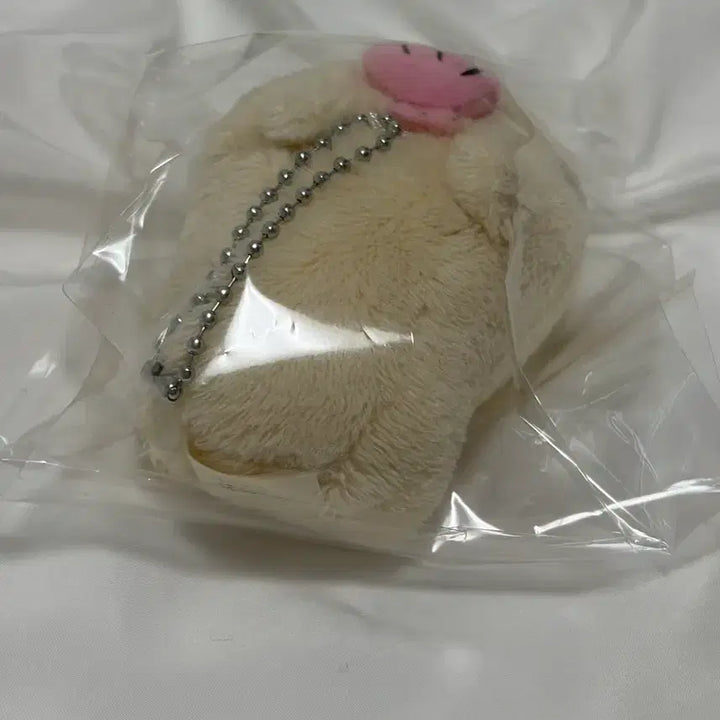 [BUNJANG] Capybara with Shell / 오늘만할인)카피바라상 조개