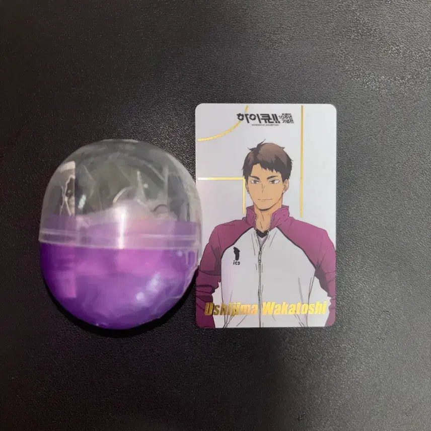 [BUNJANG] Haikyuu Ushijima Onemutan (Sealed) + 10th Anniversary Card Bundle Set / 하이큐 우시지마 오네무탄(미개봉)+10주년 기념전 카드 일괄