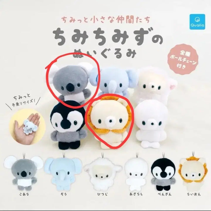 [BUNJANG] Chimmy Chimmyz Koala Plush (Sealed) / 미개봉) 치미치미즈 코알라 판매