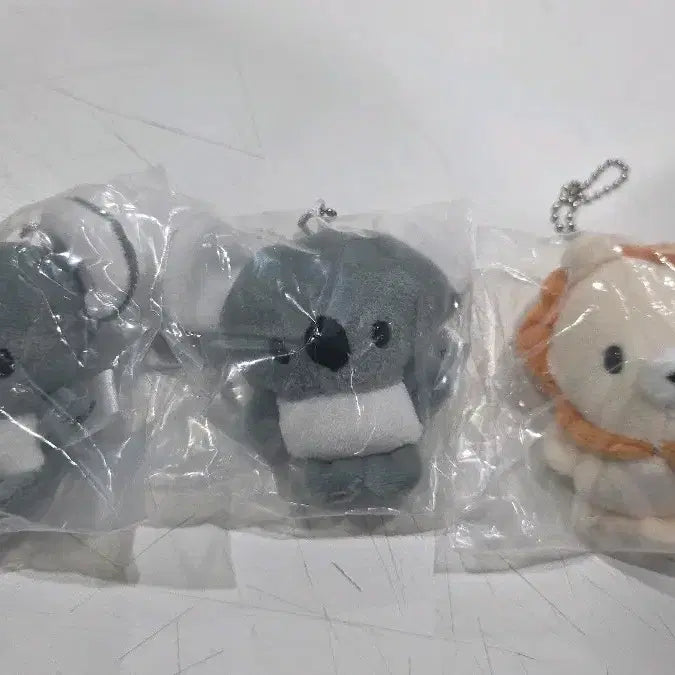 [BUNJANG] Chimmy Chimmyz Koala Plush (Sealed) / 미개봉) 치미치미즈 코알라 판매