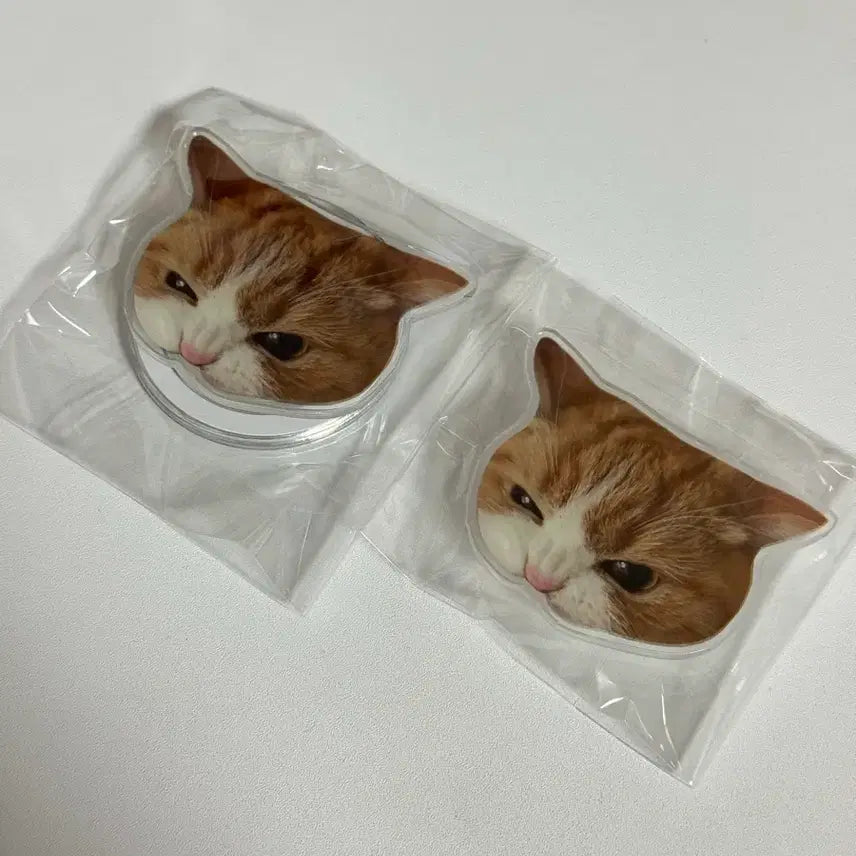 [BUNJANG] Cherry GripTok Set (MagSafe &amp; Standard) / 버찌 그립톡 깨물버찌 고양이 그립톡