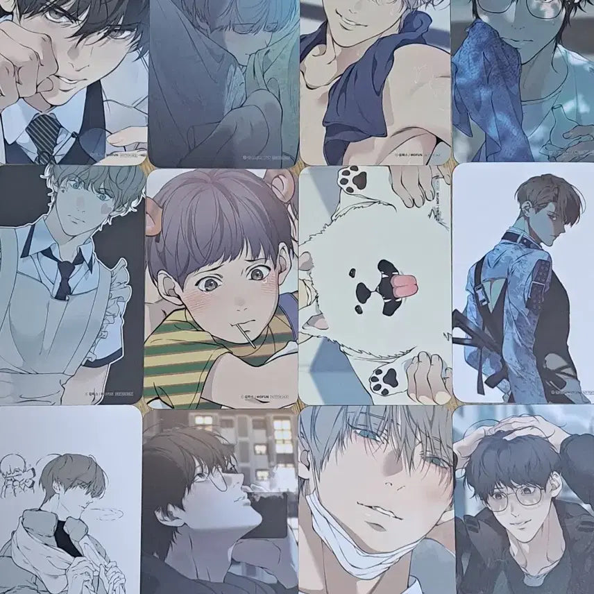 [BUNJANG] Mofun Cloud Visit Photocard / 모펀 클라우드 방문포카 방포 포토카드 판매양도