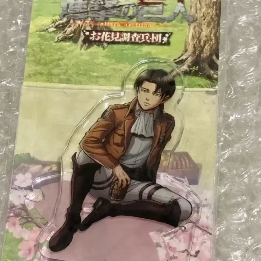 [BUNJANG] Attack on Titan Levi Survey Corps Cherry Blossom Festival Acrylic Stand (Sealed) / 택포14 미개봉 리바이 조사병단 꽃놀이 아크릴스탠드