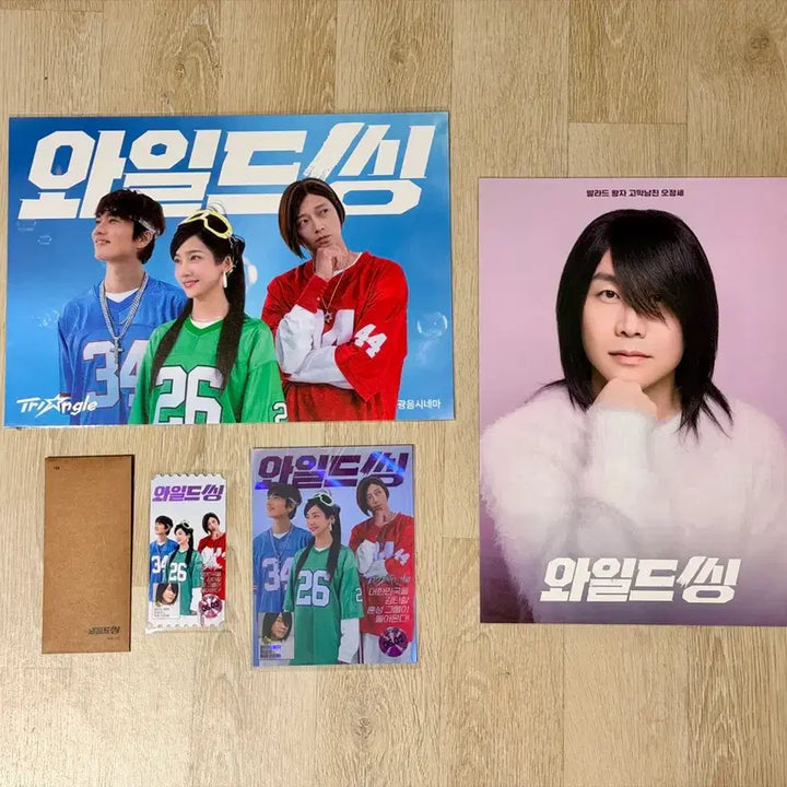 [BUNJANG] Wild Thing Movie Merchandise Bundle Set / <와일드씽> 광음/최성곤 포스터+TTT+오리지널티켓+아트카드 일괄