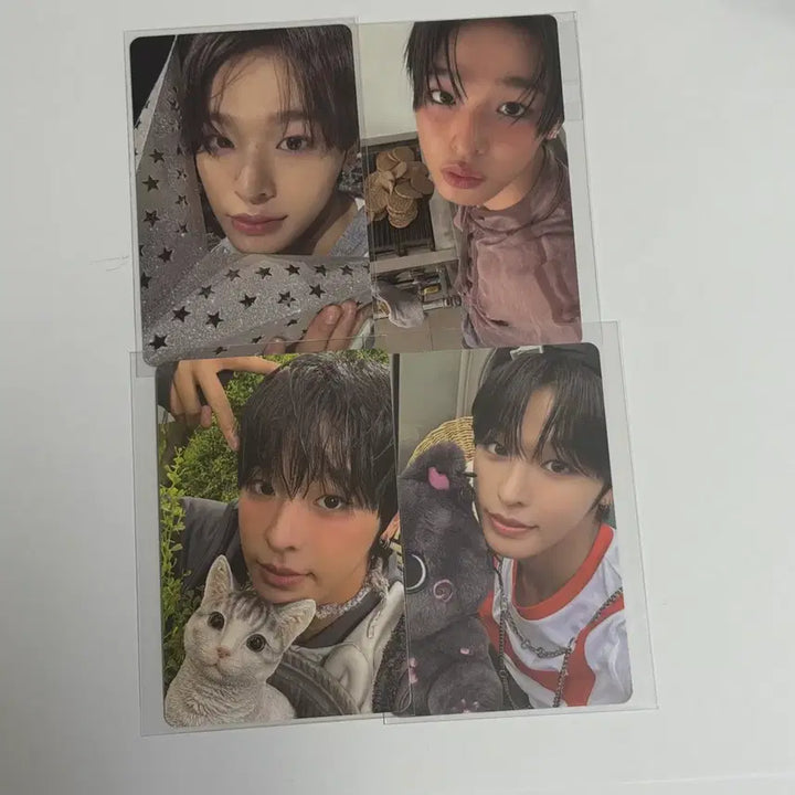 [BUNJANG] NCT WISH Photocard / 엔시티위시 포카 급처