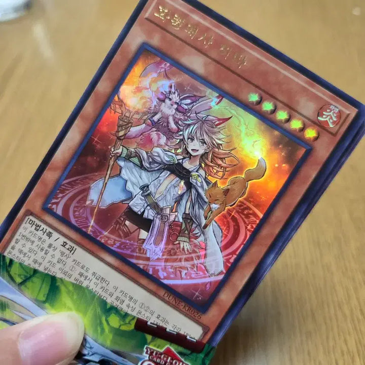 [BUNJANG] Yu-Gi-Oh! Card Bundle Set / kccf 행사 유희왕 카드 일괄