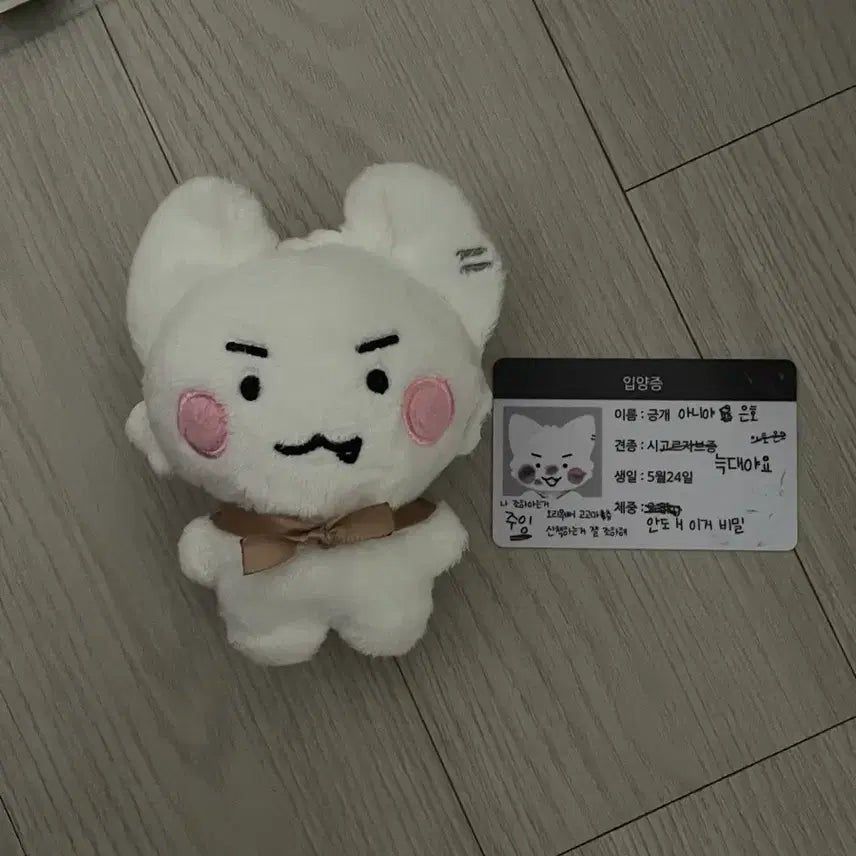 [BUNJANG] Play V Eunho Amgeunggae Doll / 암긍개 인형