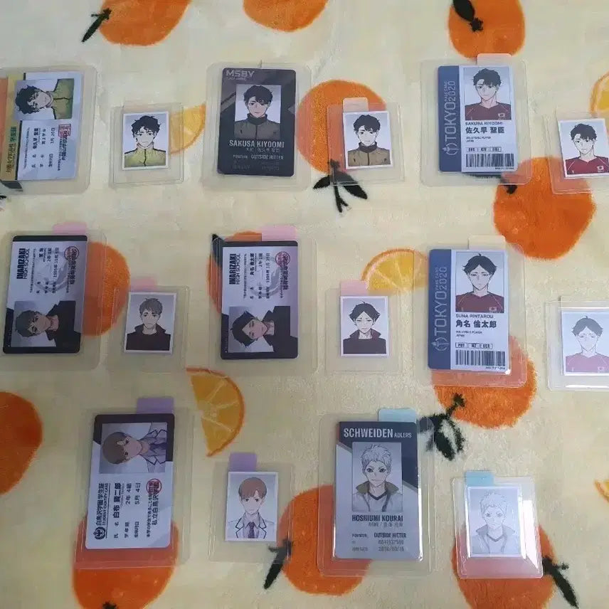 [BUNJANG] Haikyu!! Rimomom Student ID, Team ID, National ID &amp; Photo Bundle Set / 하이큐 ㄹㅁㅁ님 학생증 구단증 국대증  증사 포함 굿즈 일괄 양도 판매