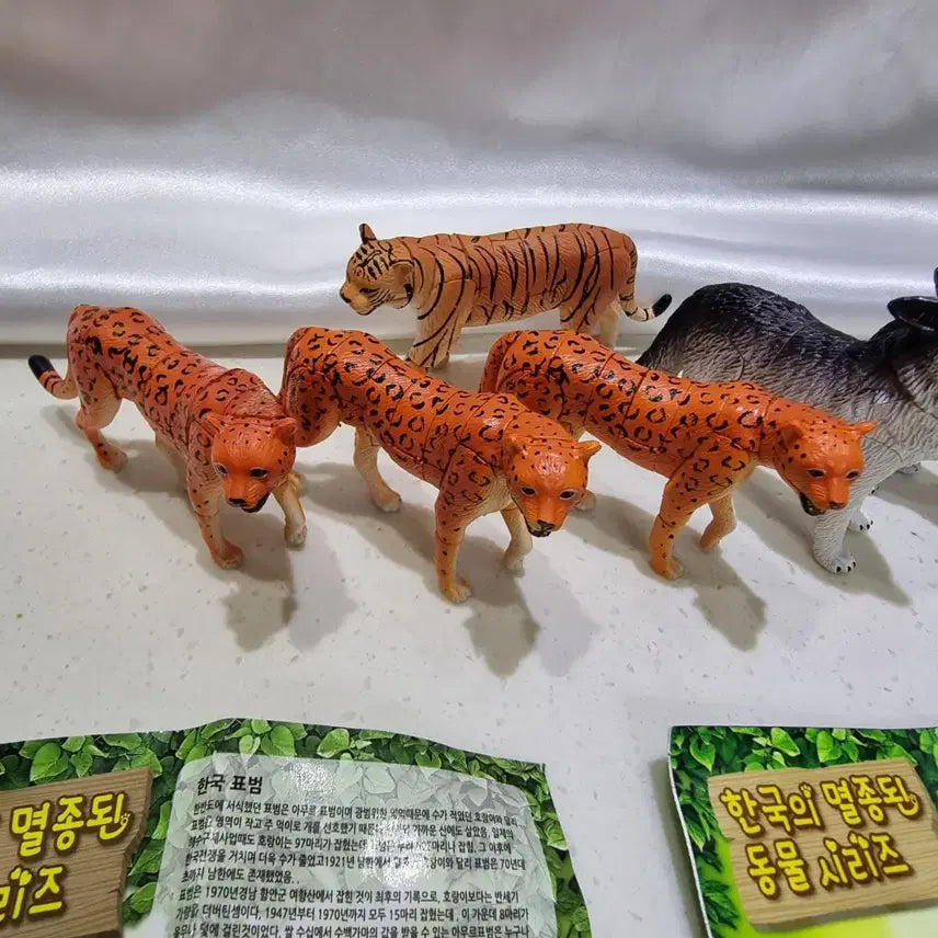 [BUNJANG] Set of 6 Extinct Korean Animals Figurines (Tiger, Leopard, Wolf) / 한국의 멸종된 동물시리즈 호랑이, 표범, 늑대 피규어 6개 일괄 판매