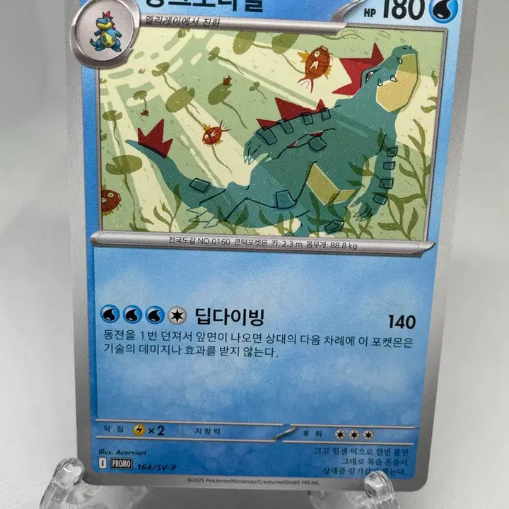 [BUNJANG] Pokemon 2025 Croconaw Promo Card / 포켓몬카드 2025 장크로다일 프로모카드