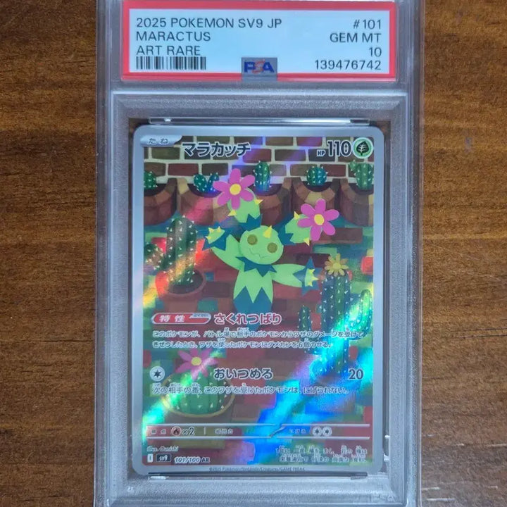 [BUNJANG] Pokemon Card Maracachi AR PSA 10 / 포켓몬카드 일판 마라카치 AR PSA10
