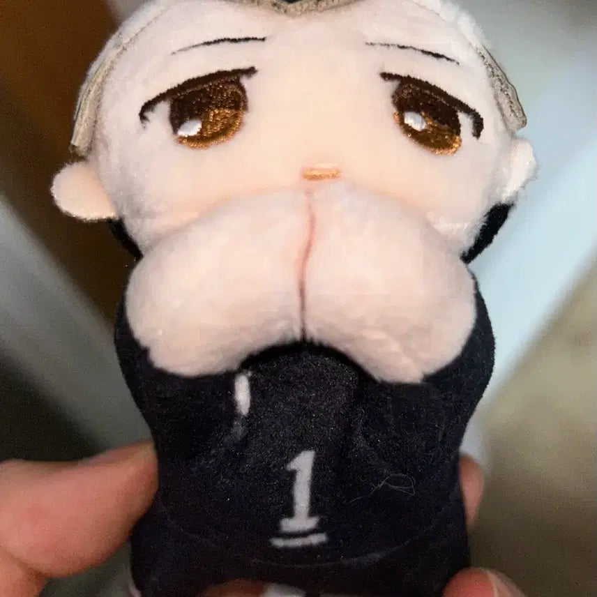 [BUNJANG] Haikyu!! Shinsuke Kita Plush / 하이큐 키타 신스케 누이
