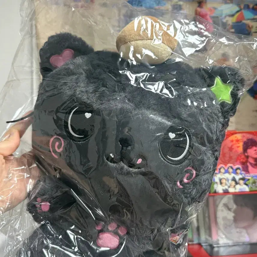 [BUNJANG] Wish 30cm Kuri Sealed Plush / 위시 30cm 쿠리 (미개봉)